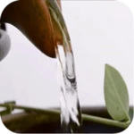 relaxing water android application logo